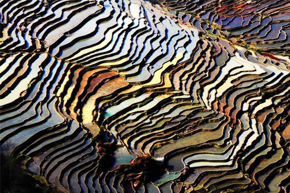5 Days Guilin Yangshuo & Longji Coloful Terrace Photography Tour