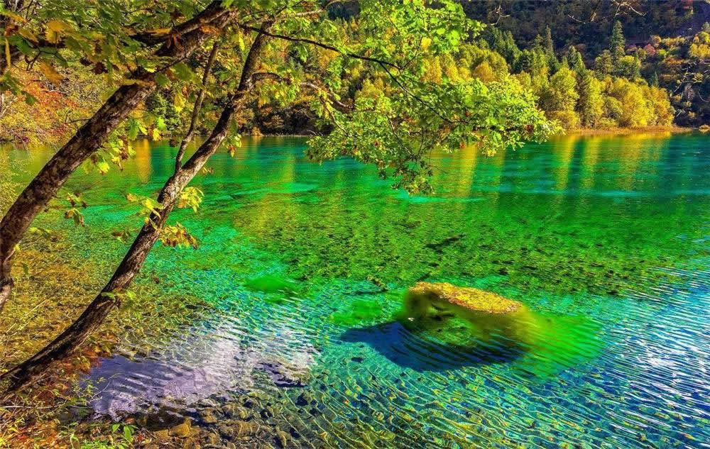 Travel in Chengdu: 5 Days Chengdu Jiuzhaigou Valley Winter Package Tour