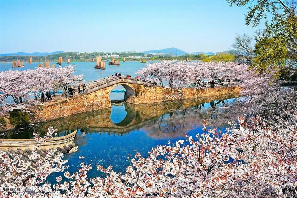 9 Days Best Scenic and Culture China Tour Around Shanghai