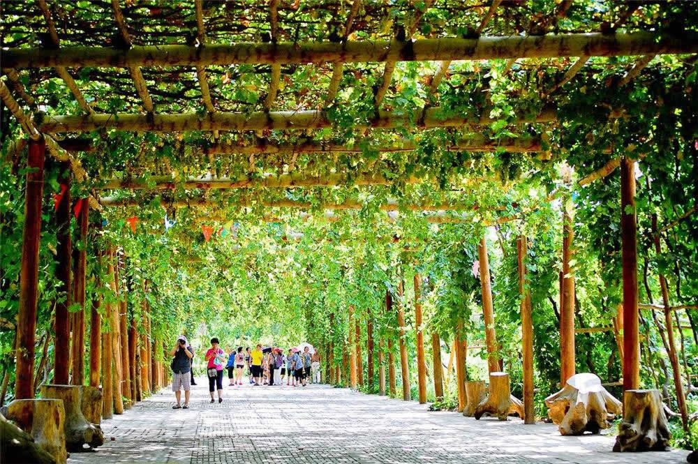 7 Days China Tour with Xinjiang Discovery